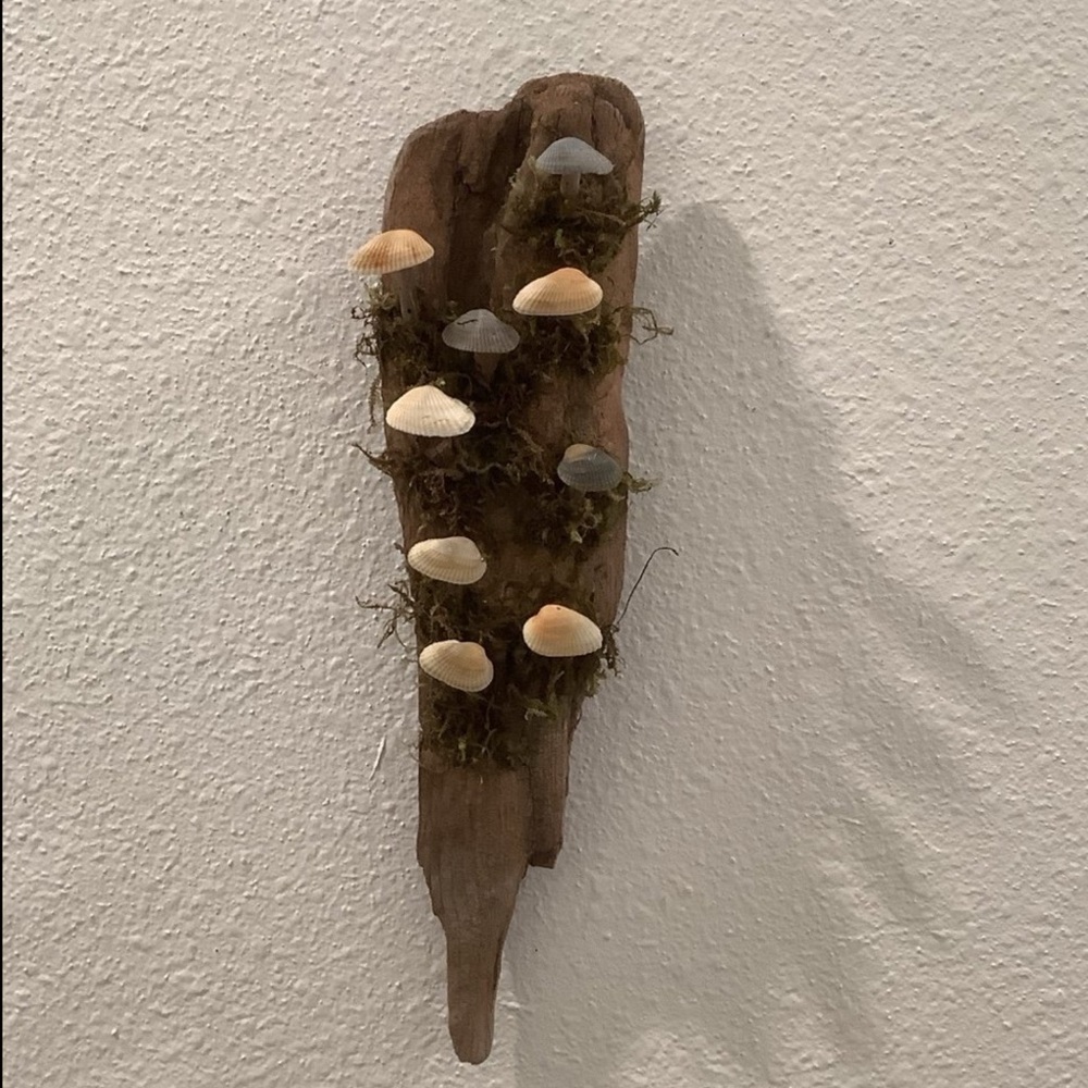 Driftwood Art, Driftwood & Seashell Mushrooms , Mushroom Art